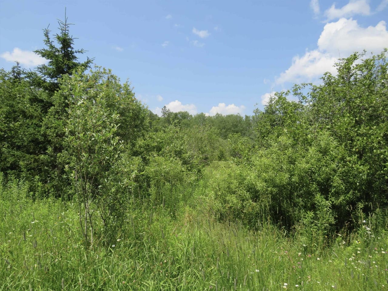 656 Acre Rec Property 50132077
