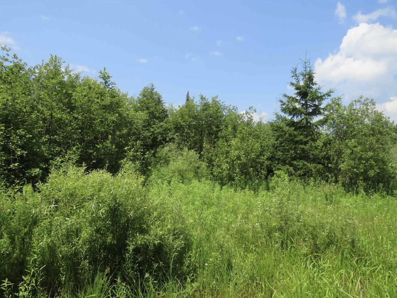 656 Acre Rec Property 50132077