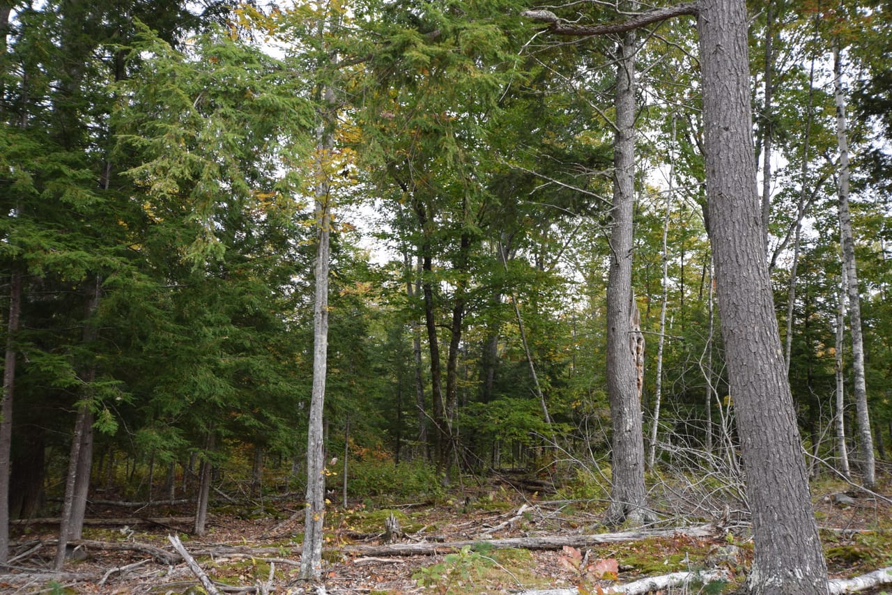 Listing Image 39