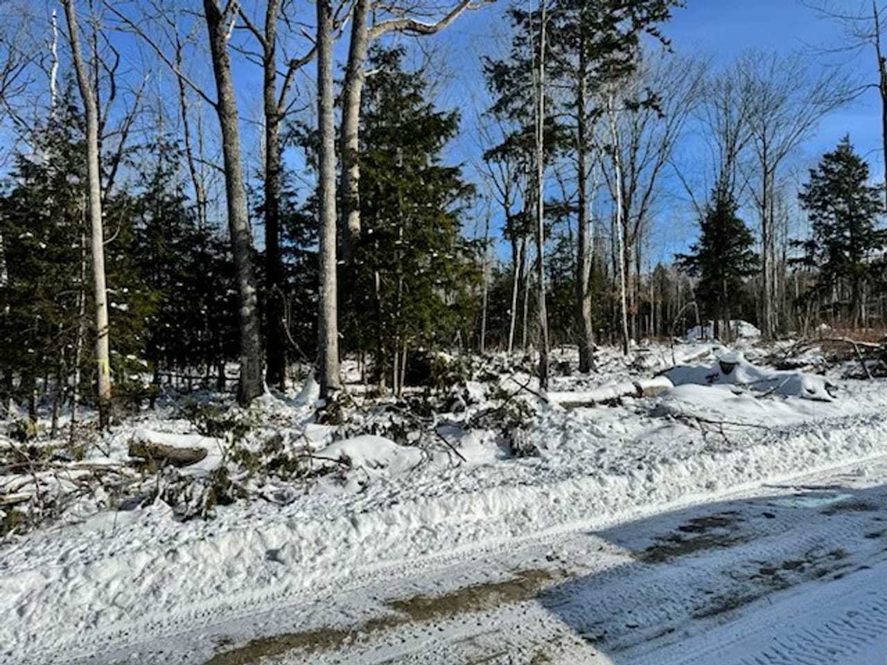 Listing Image 162