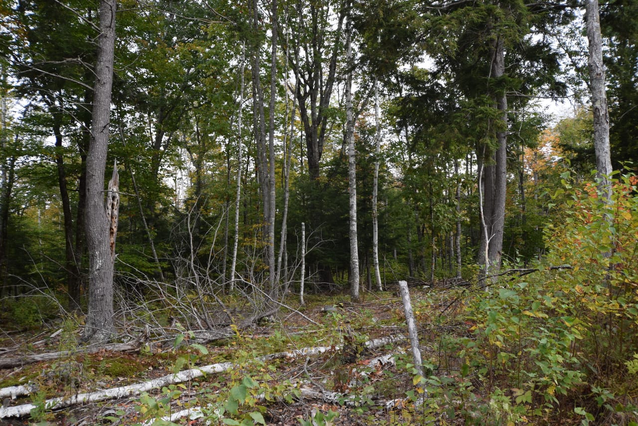 Listing Image 69