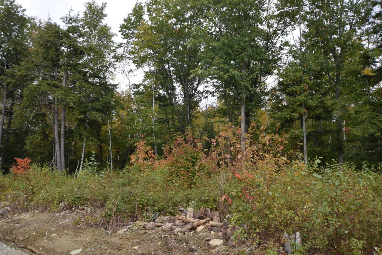 Listing Image 77