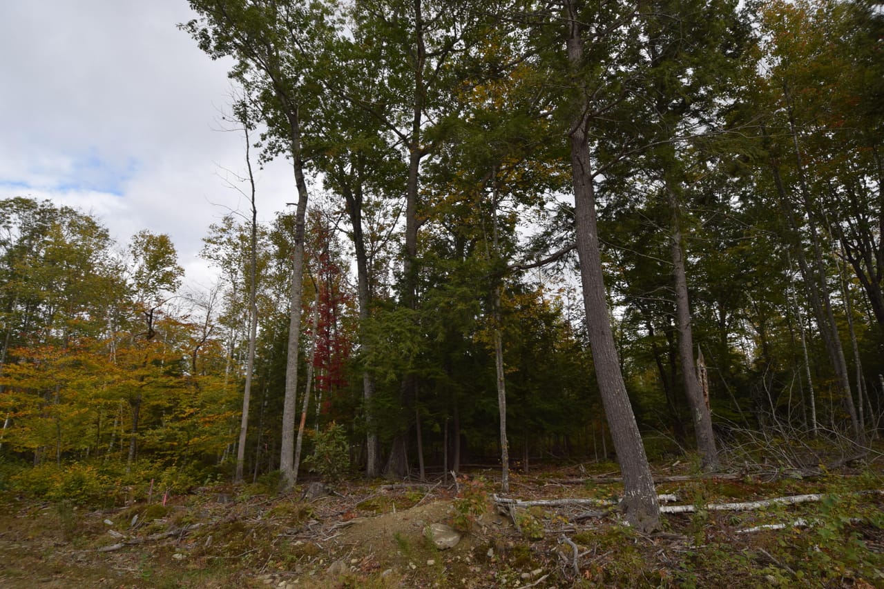 Listing Image 82