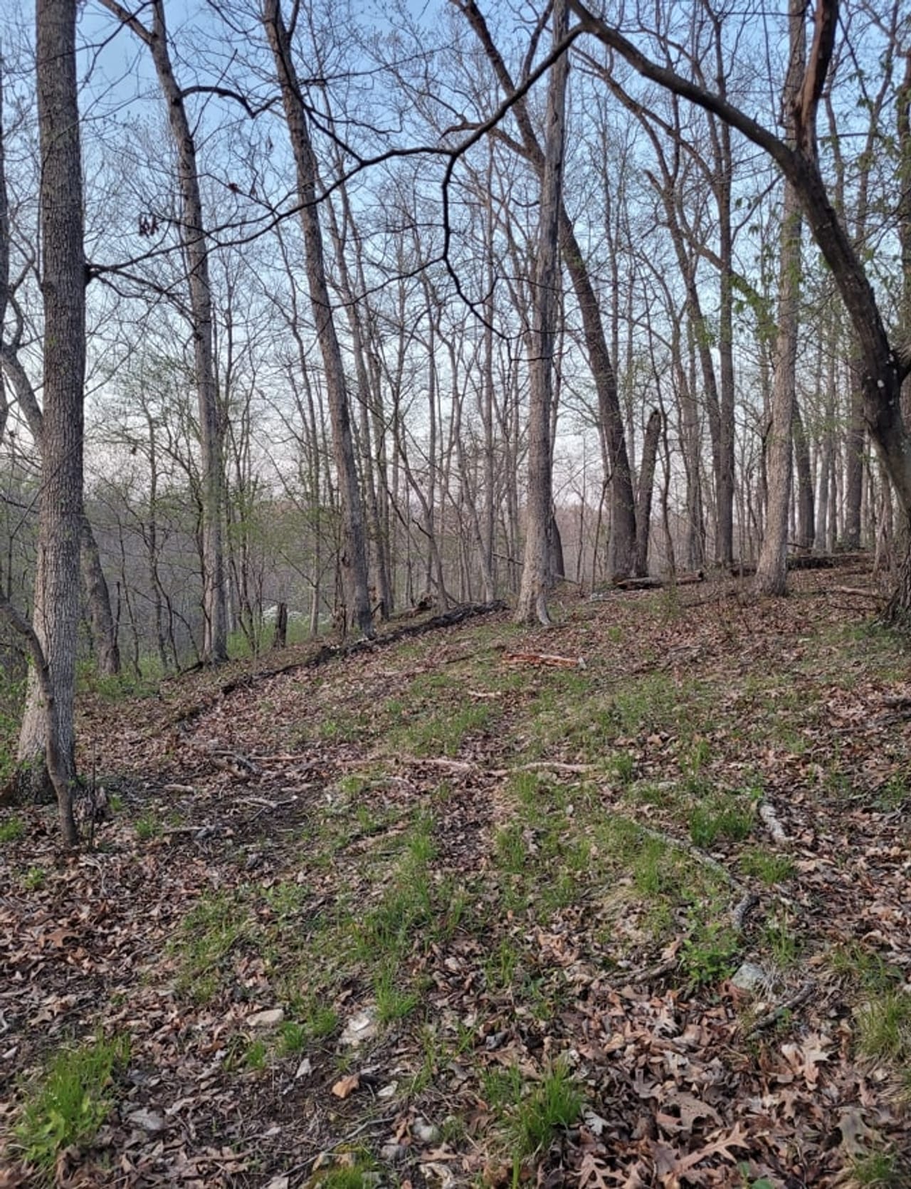 Listing Image 76