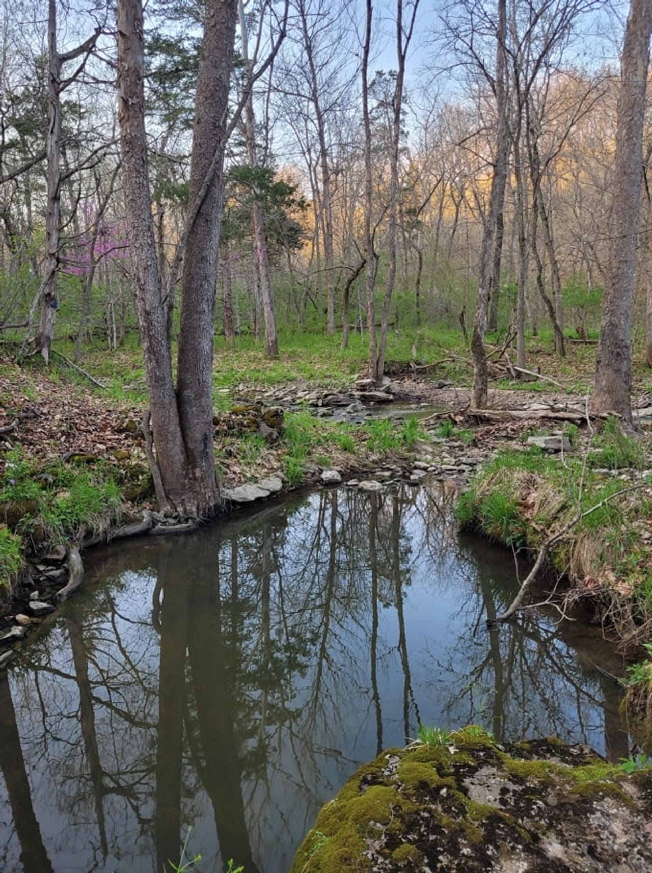 Listing Image 49