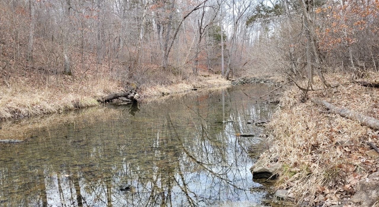 Listing Image 51