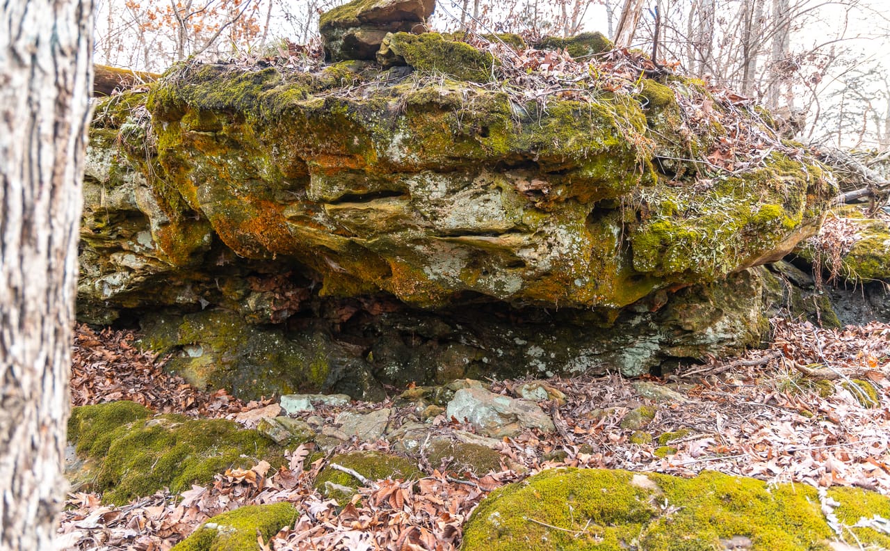 Listing Image 61