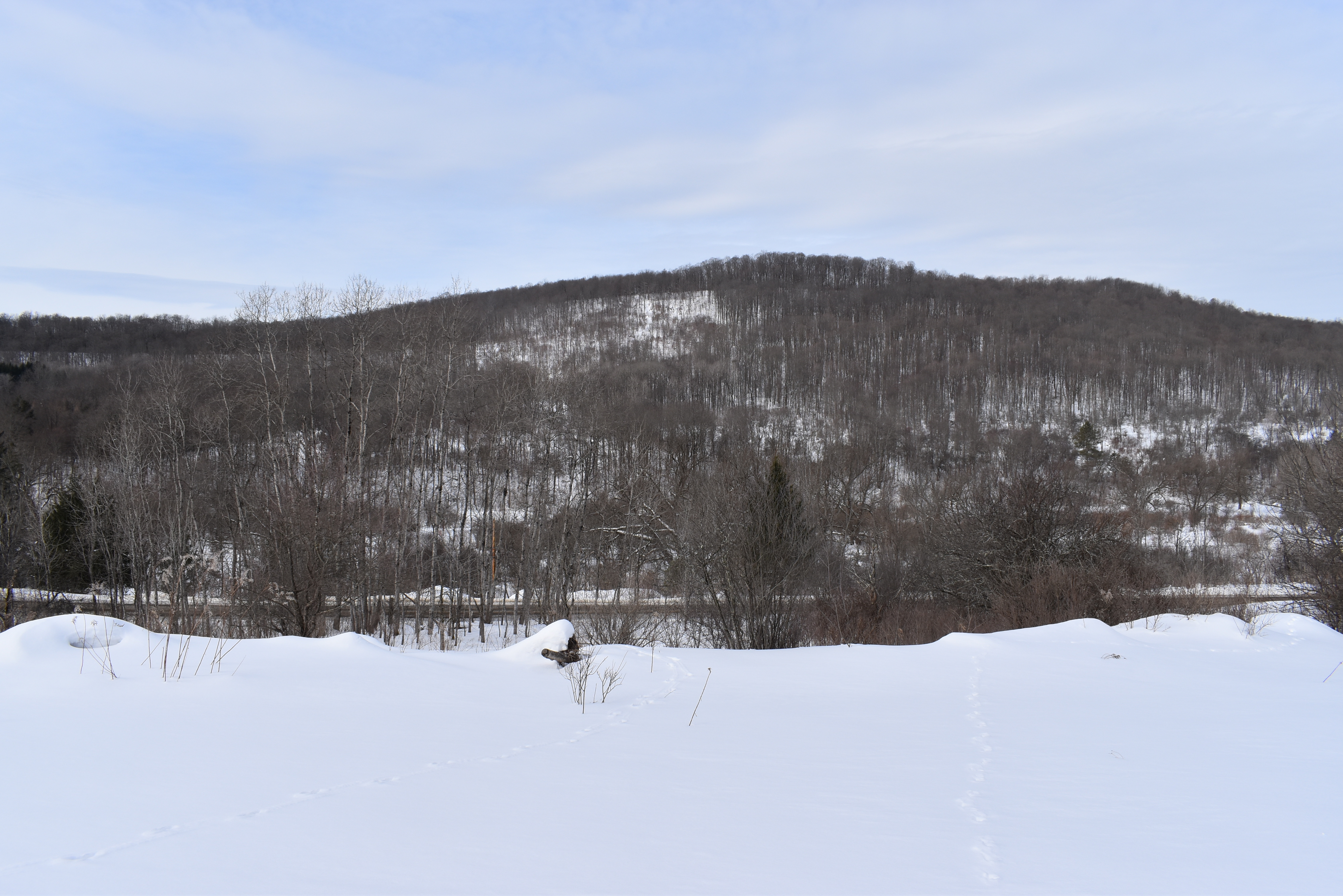 Morgan Hollow