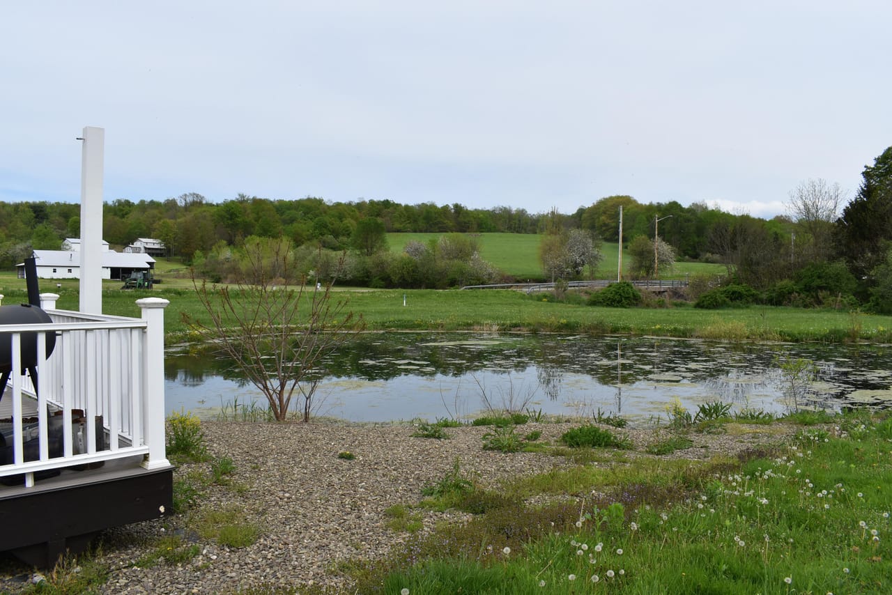 Listing Image 55