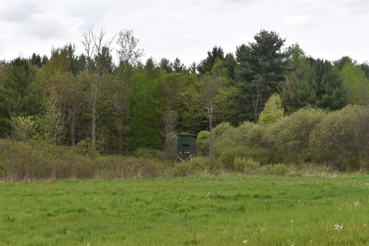 Listing Image 57
