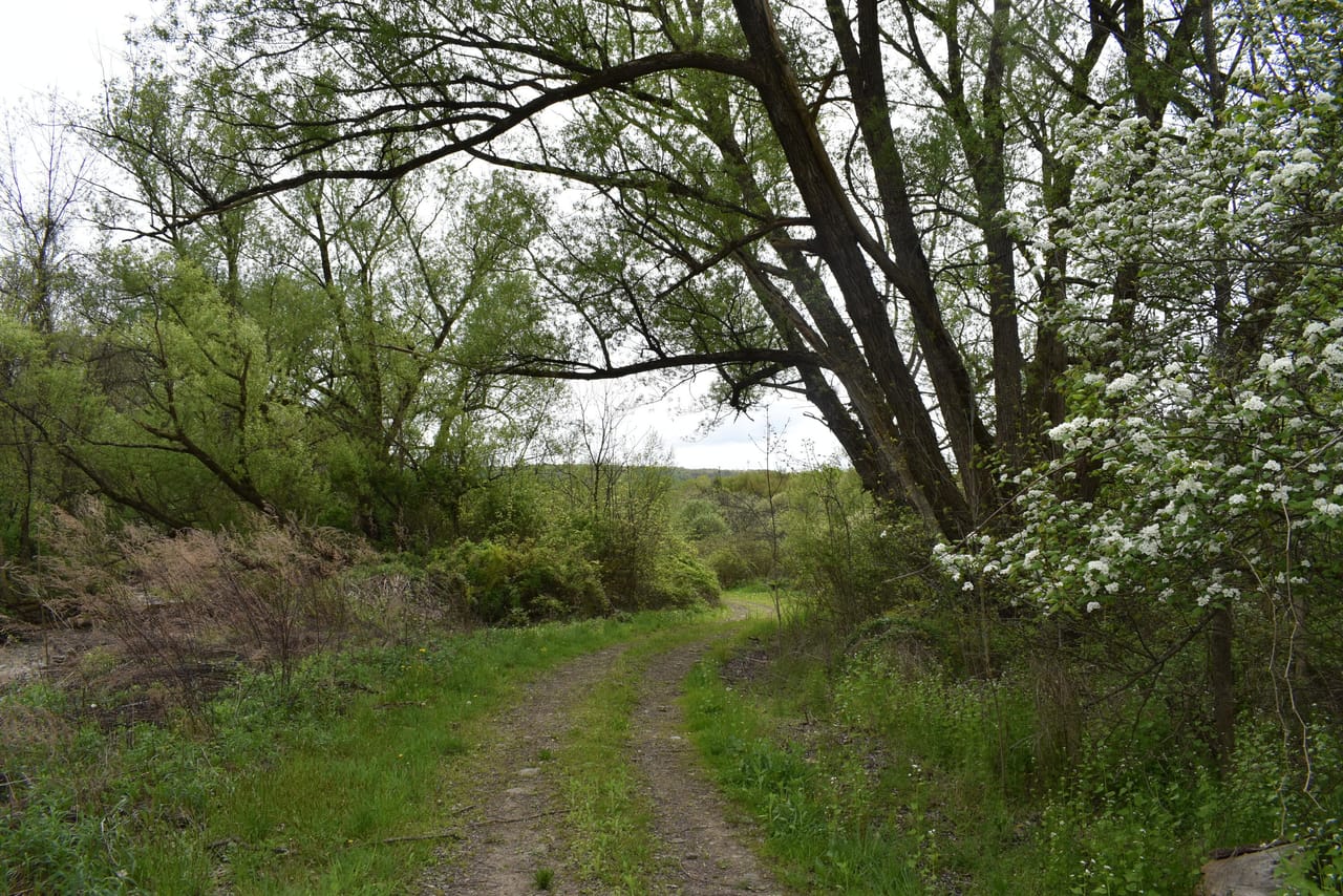 Listing Image 63