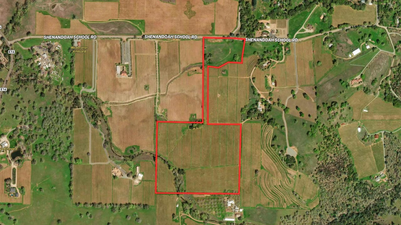 Listing Image 4