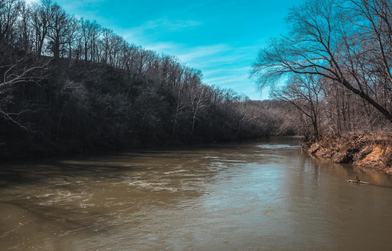 Gasconade Angus Ranch 157