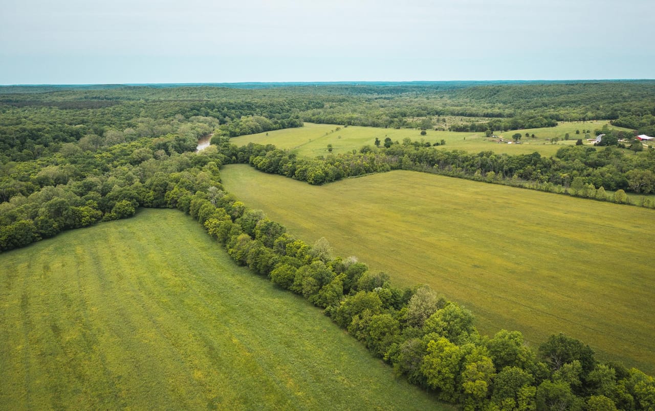 Gasconade Angus Ranch 157