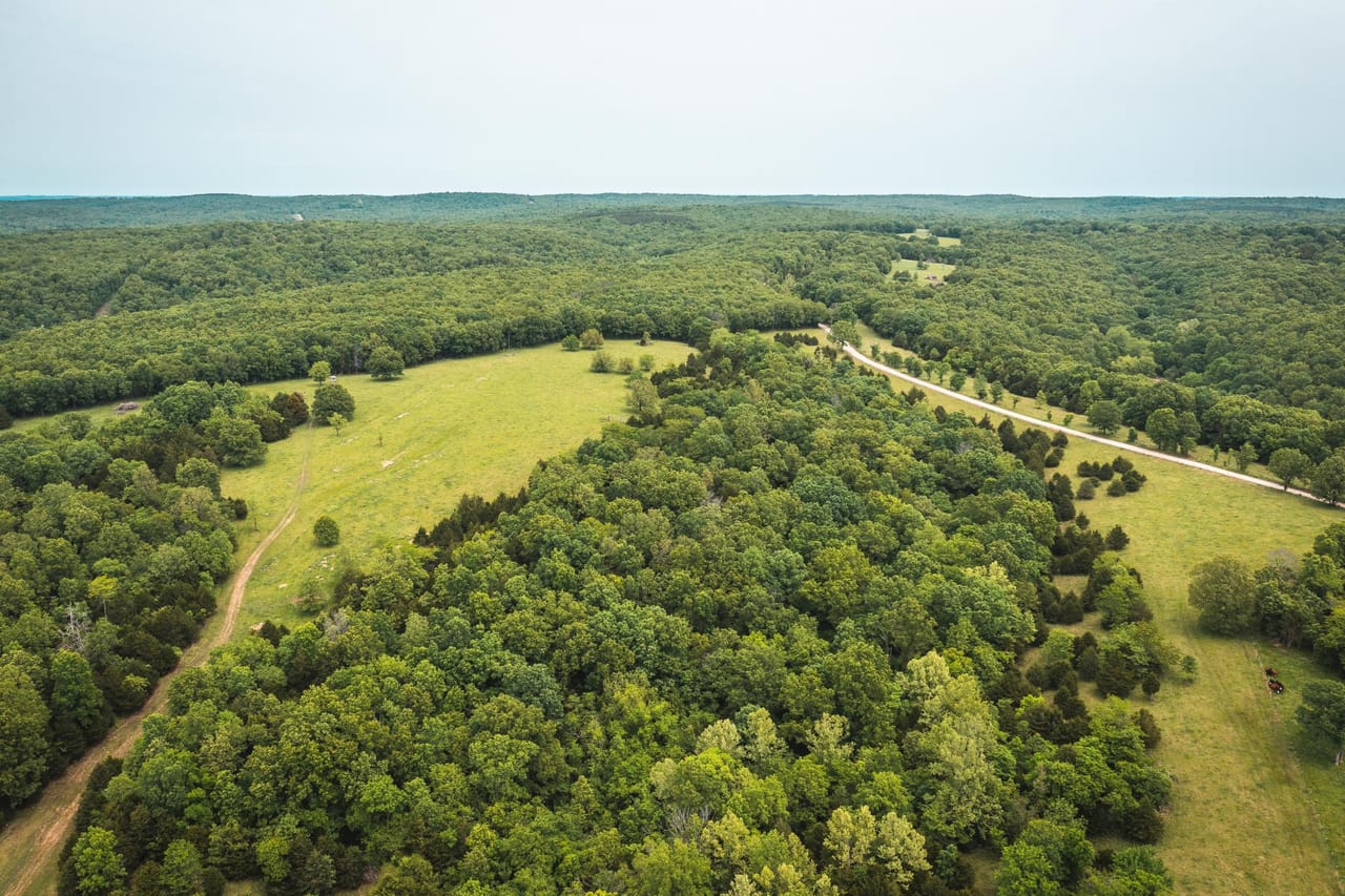 Gasconade Angus Ranch 157