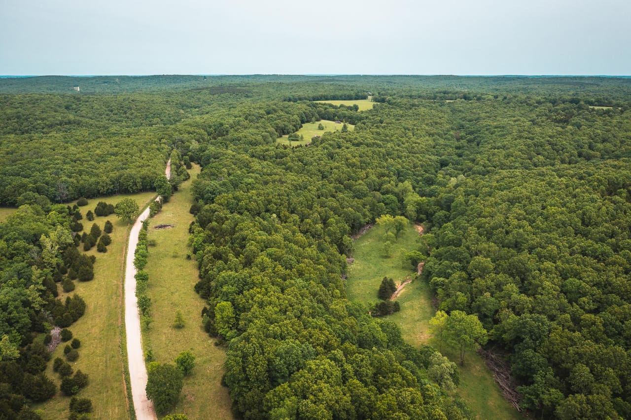 Gasconade Angus Ranch 157