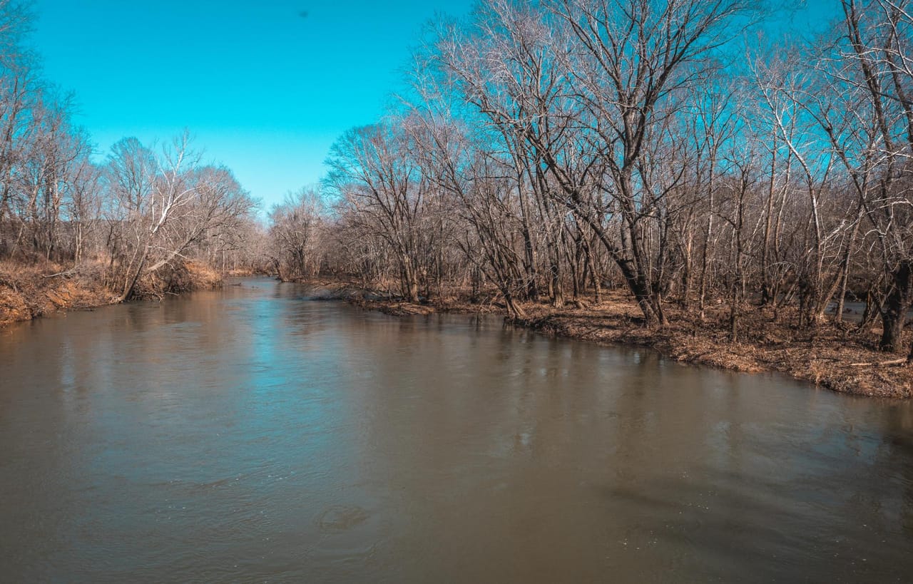 Gasconade Angus Ranch 157