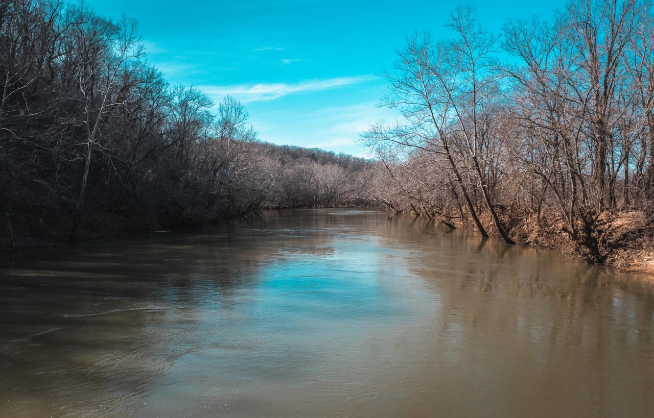 Gasconade Angus Ranch 157