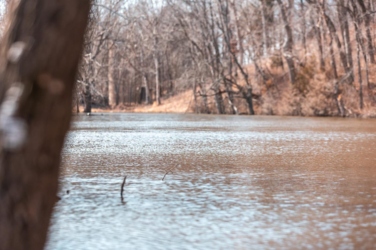 Gasconade Angus Ranch 157