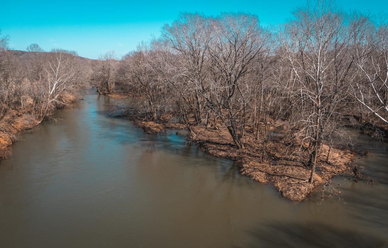 Gasconade Angus Ranch 157