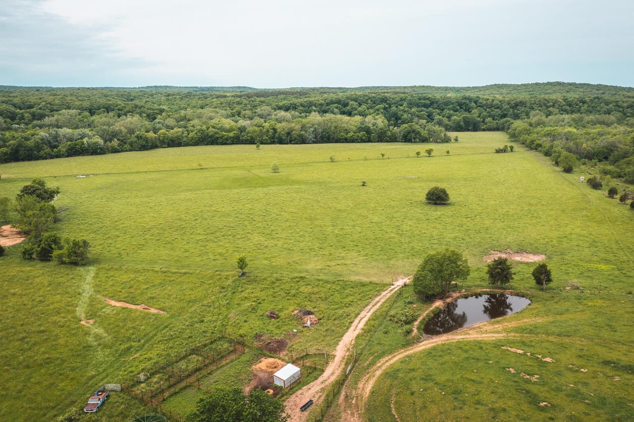Gasconade Angus Ranch 157