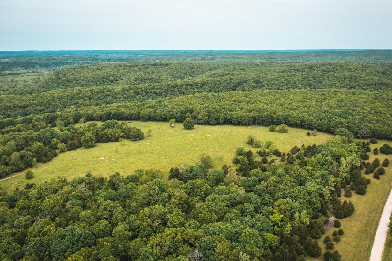 Gasconade Angus Ranch 157