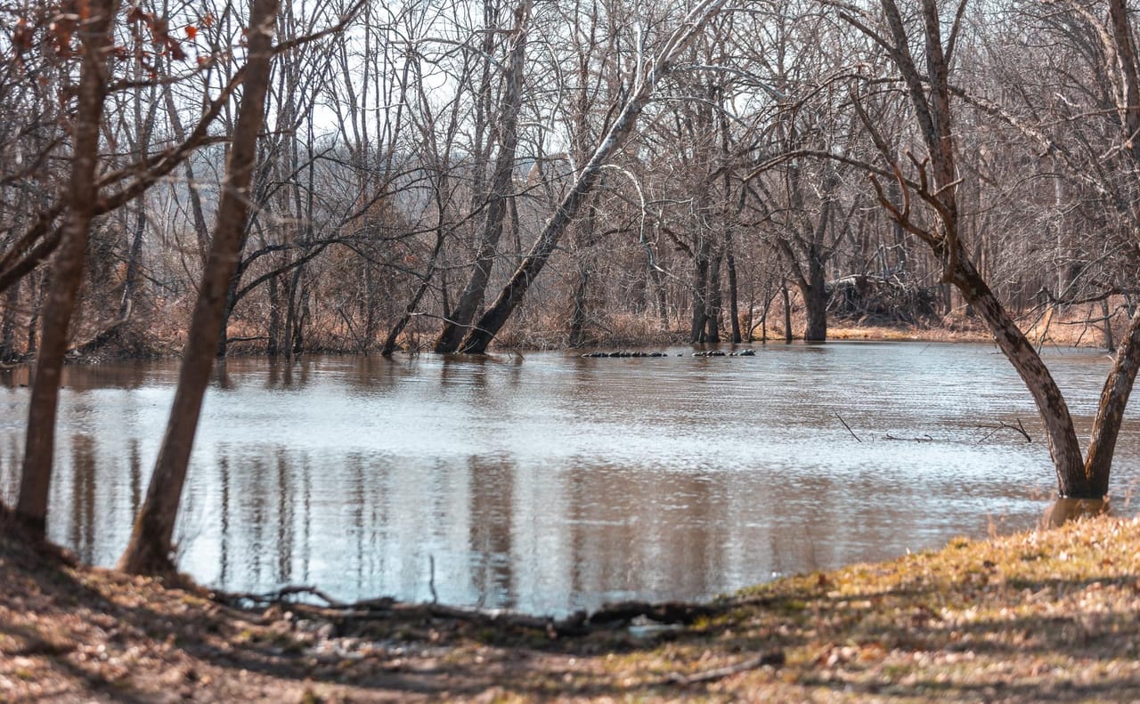 Gasconade Angus Ranch 157