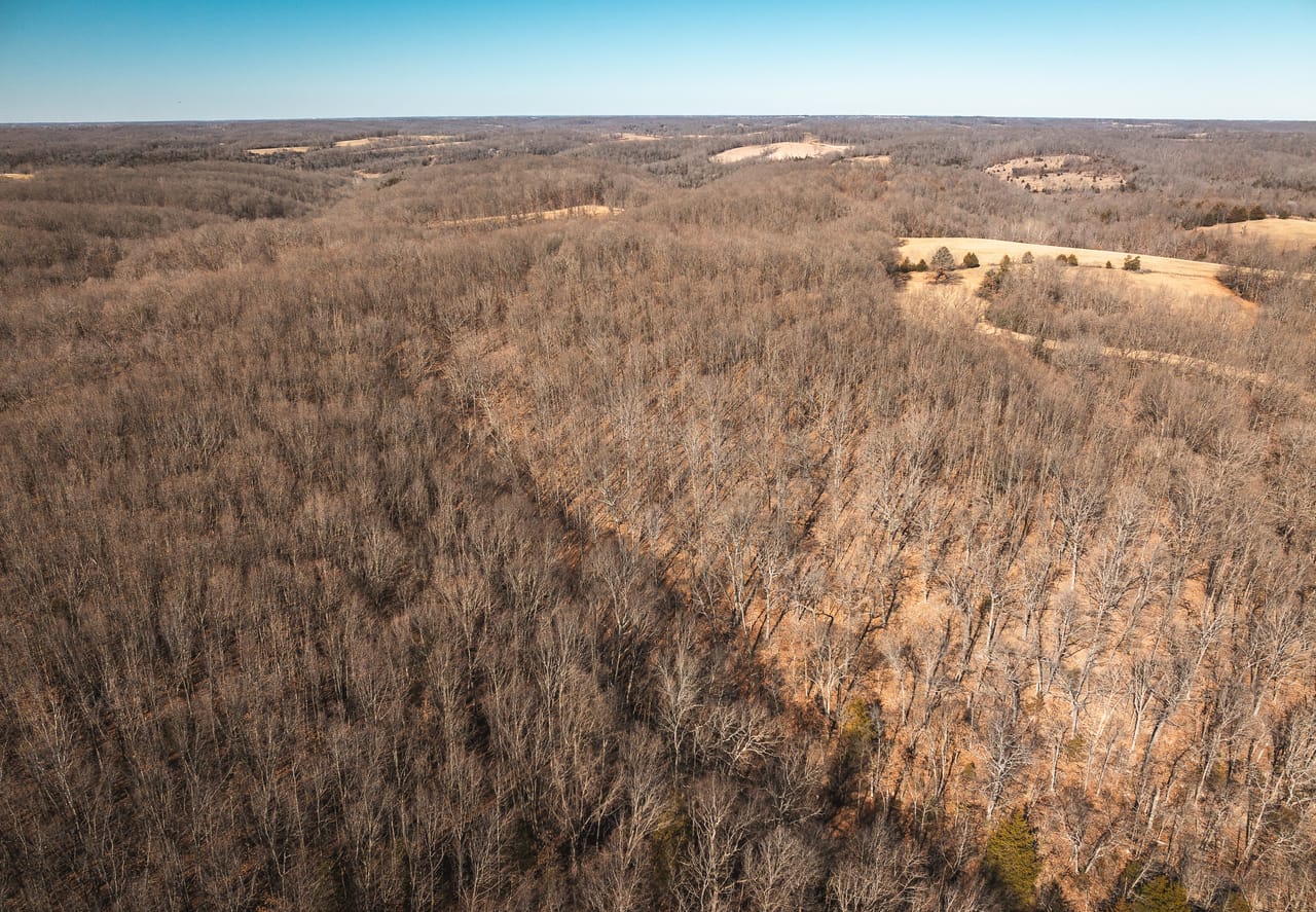 Listing Image 82