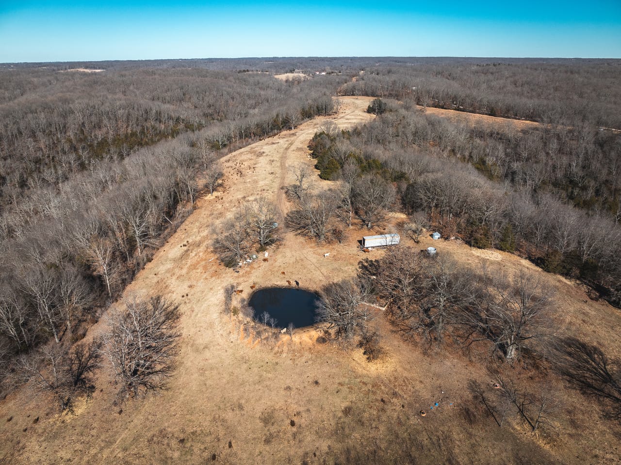 Listing Image 80
