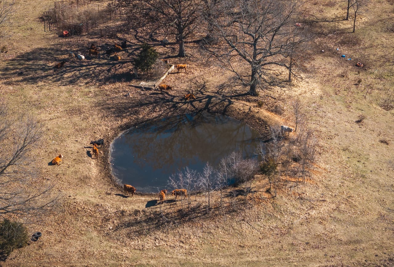 Listing Image 81