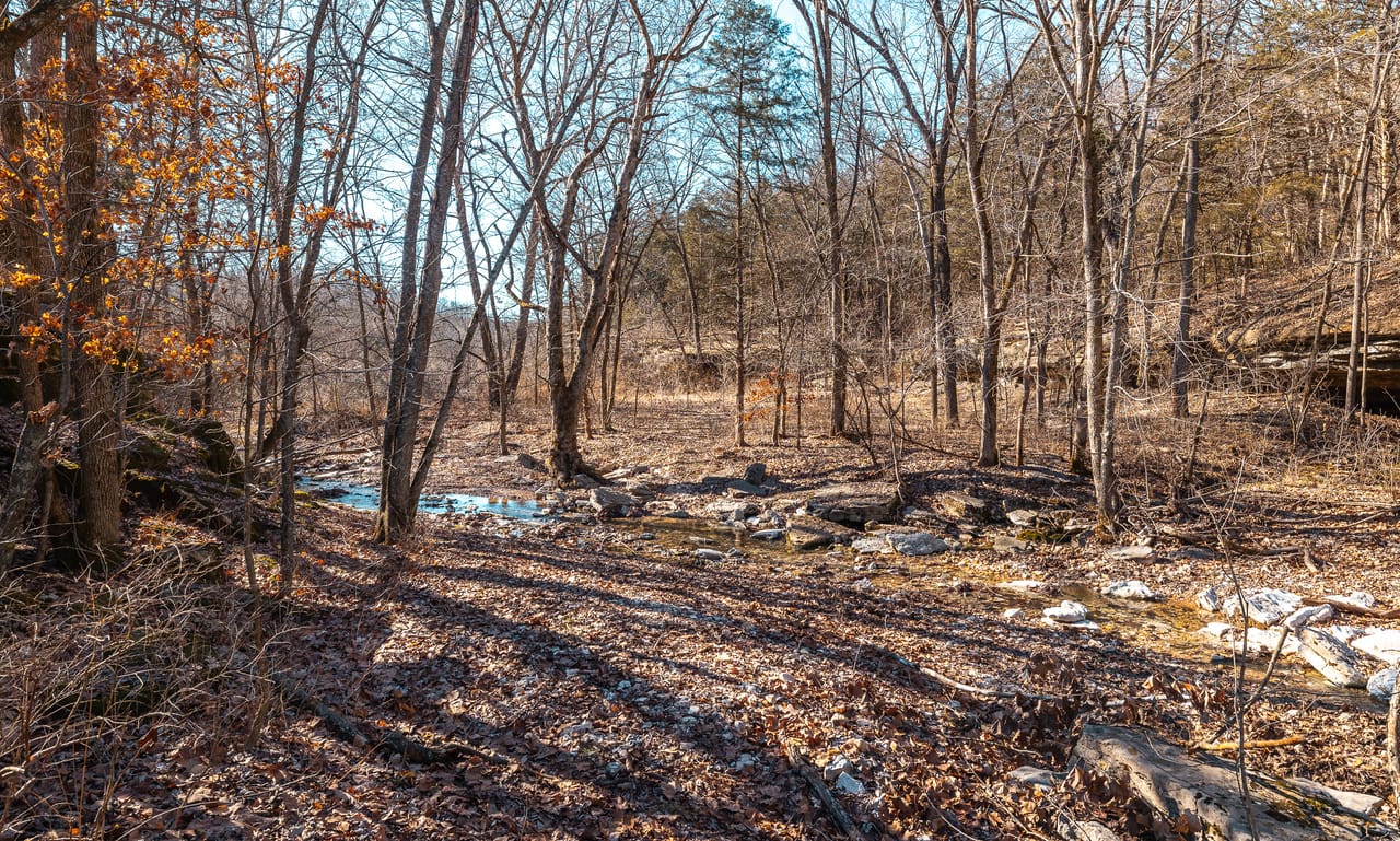 Listing Image 59