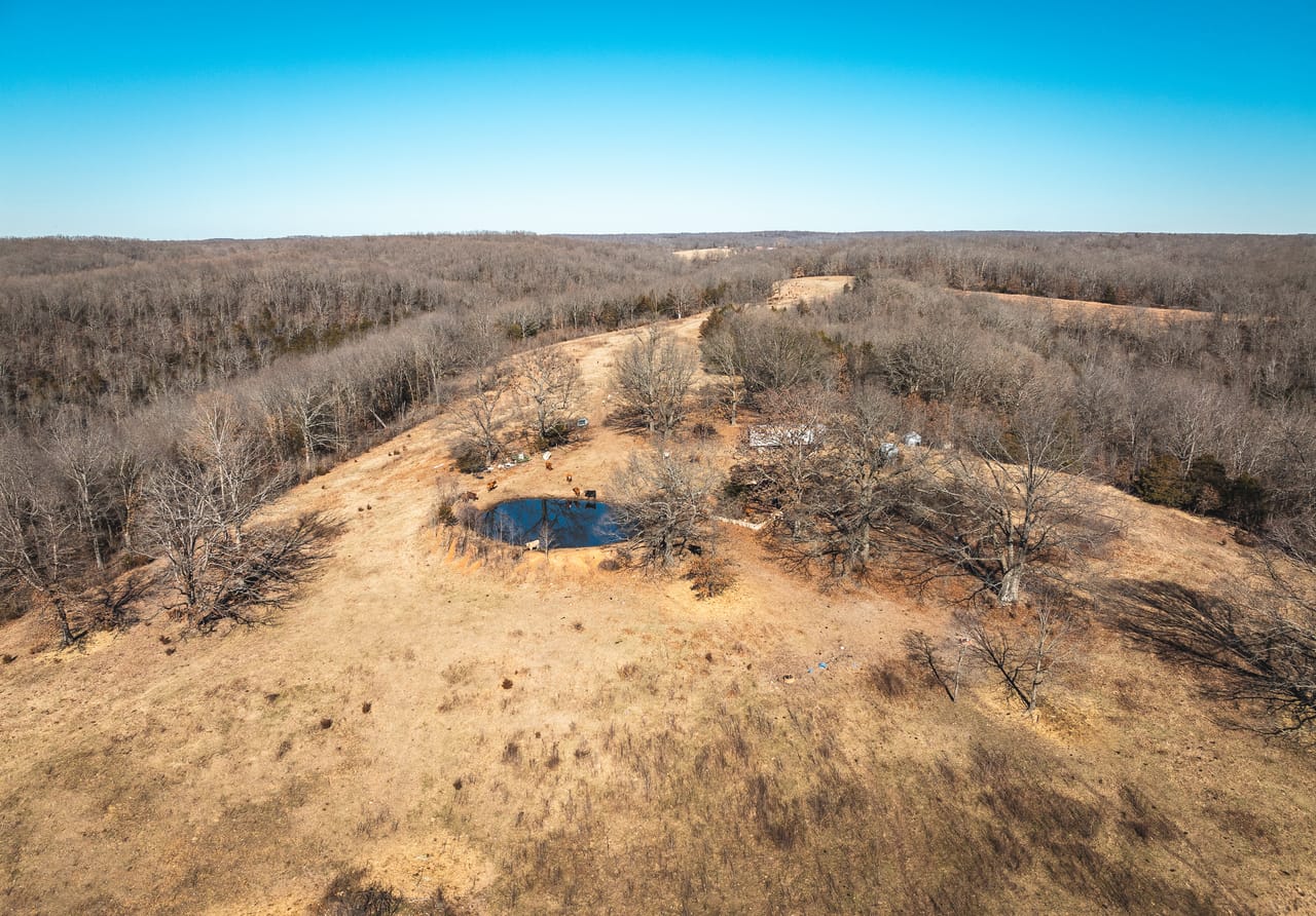 Listing Image 60