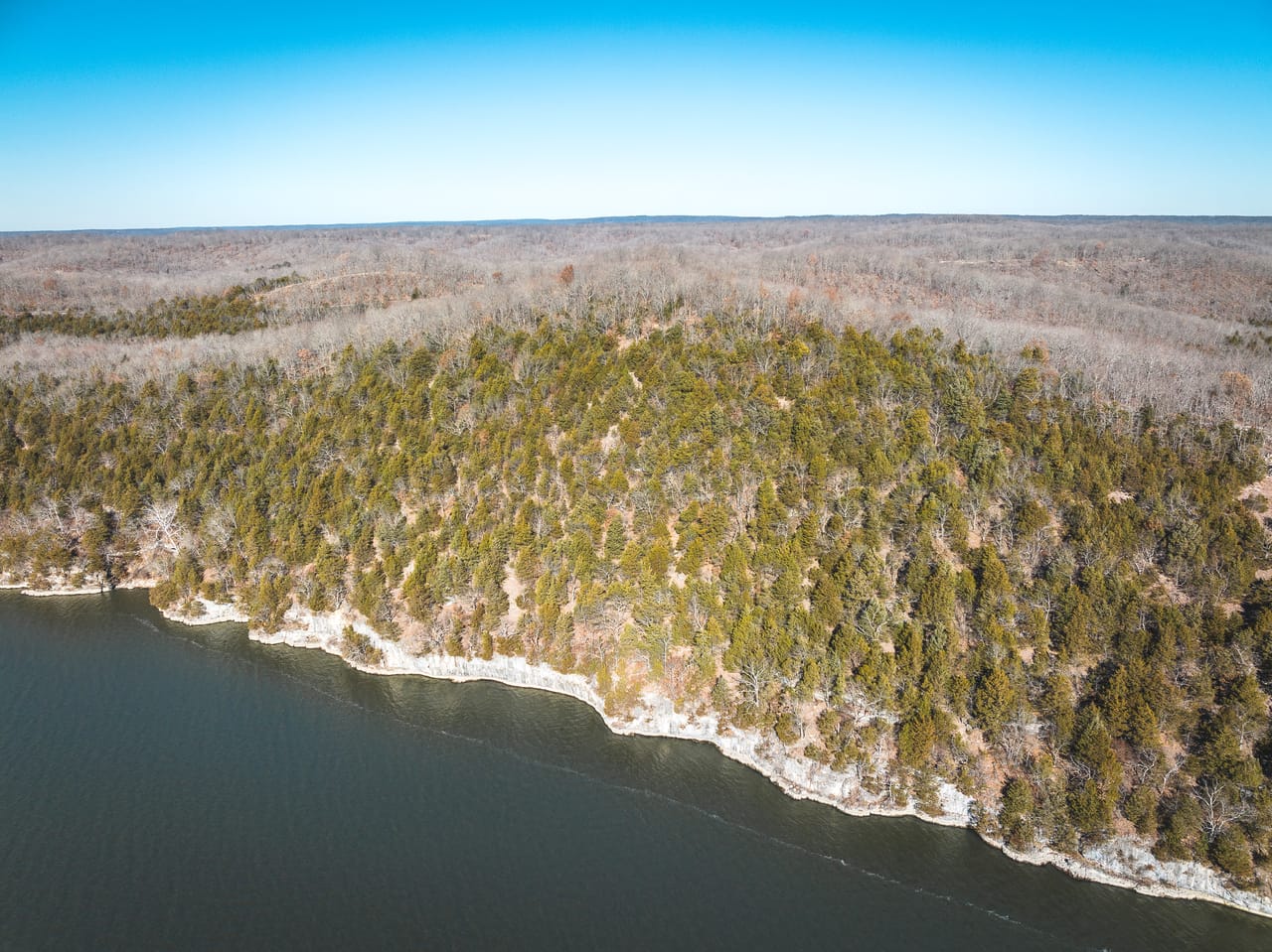 Listing Image 52