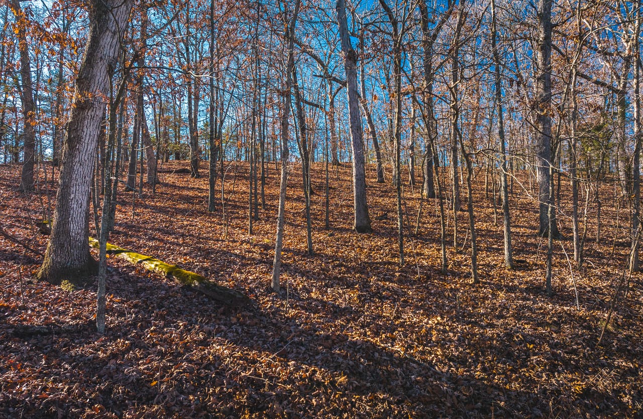 Listing Image 22