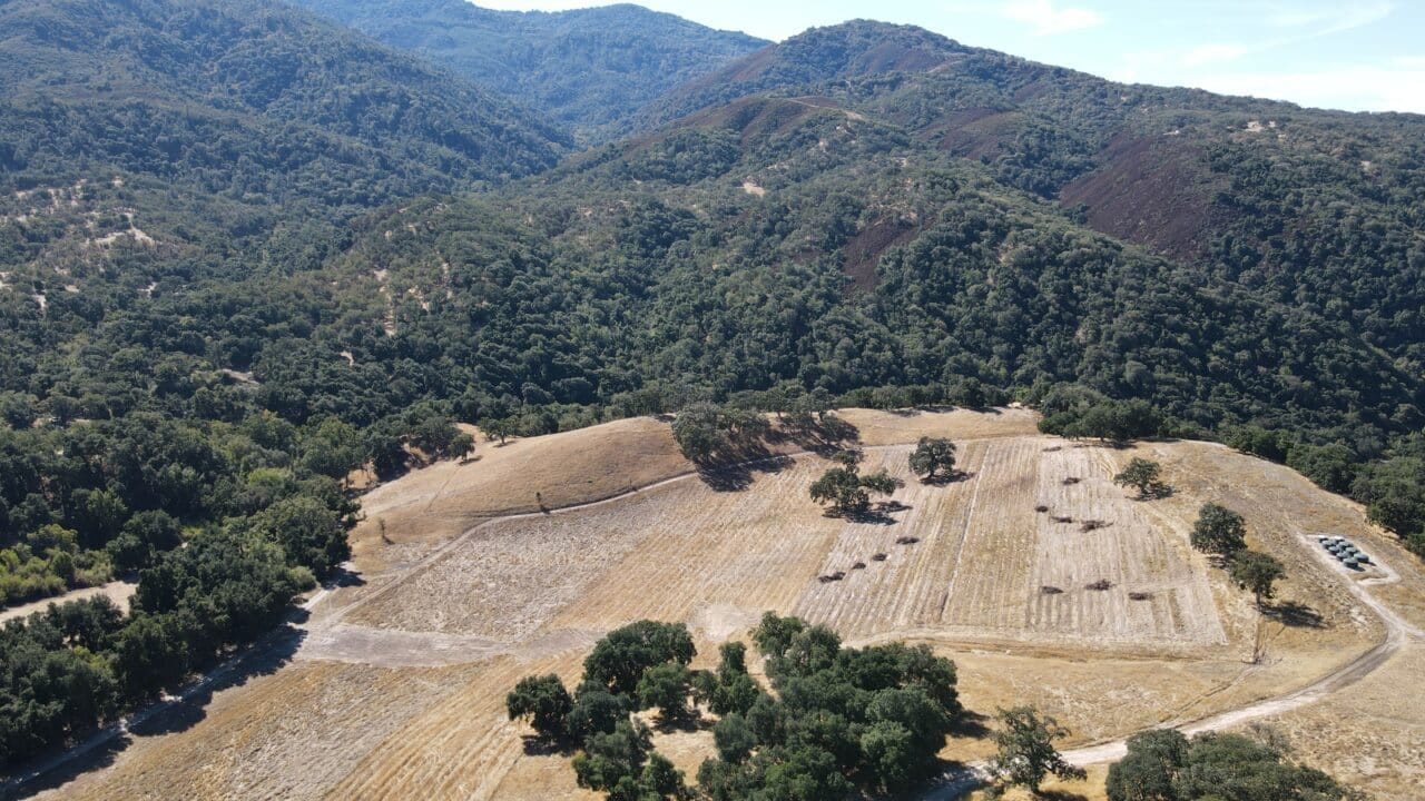 Listing Image 32