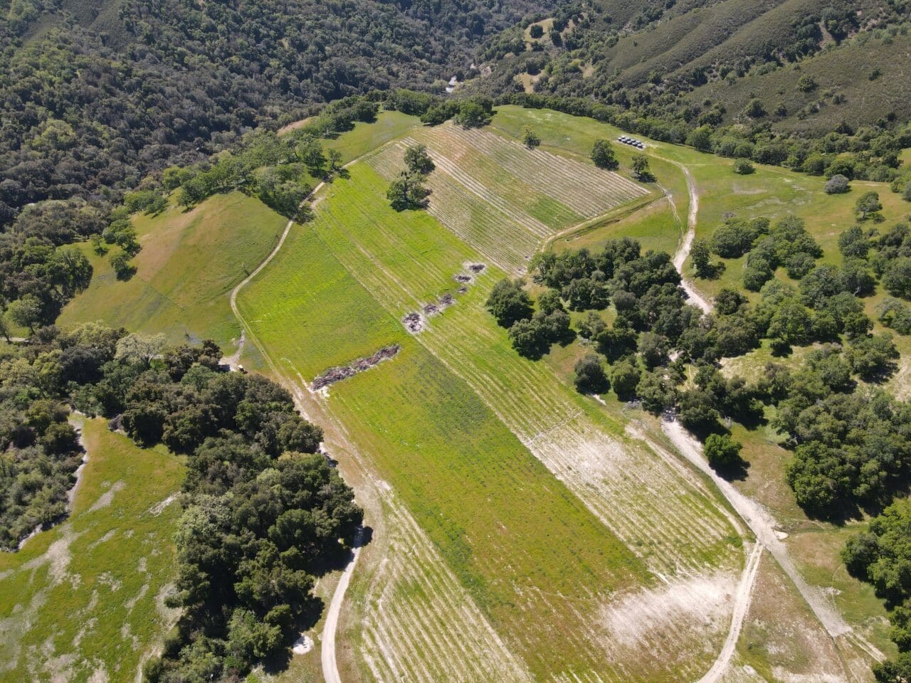 Listing Image 33