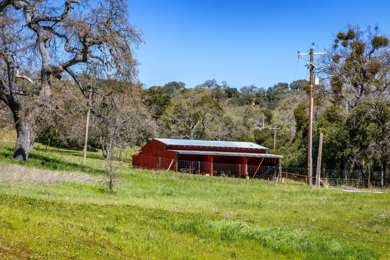 Listing Image 19