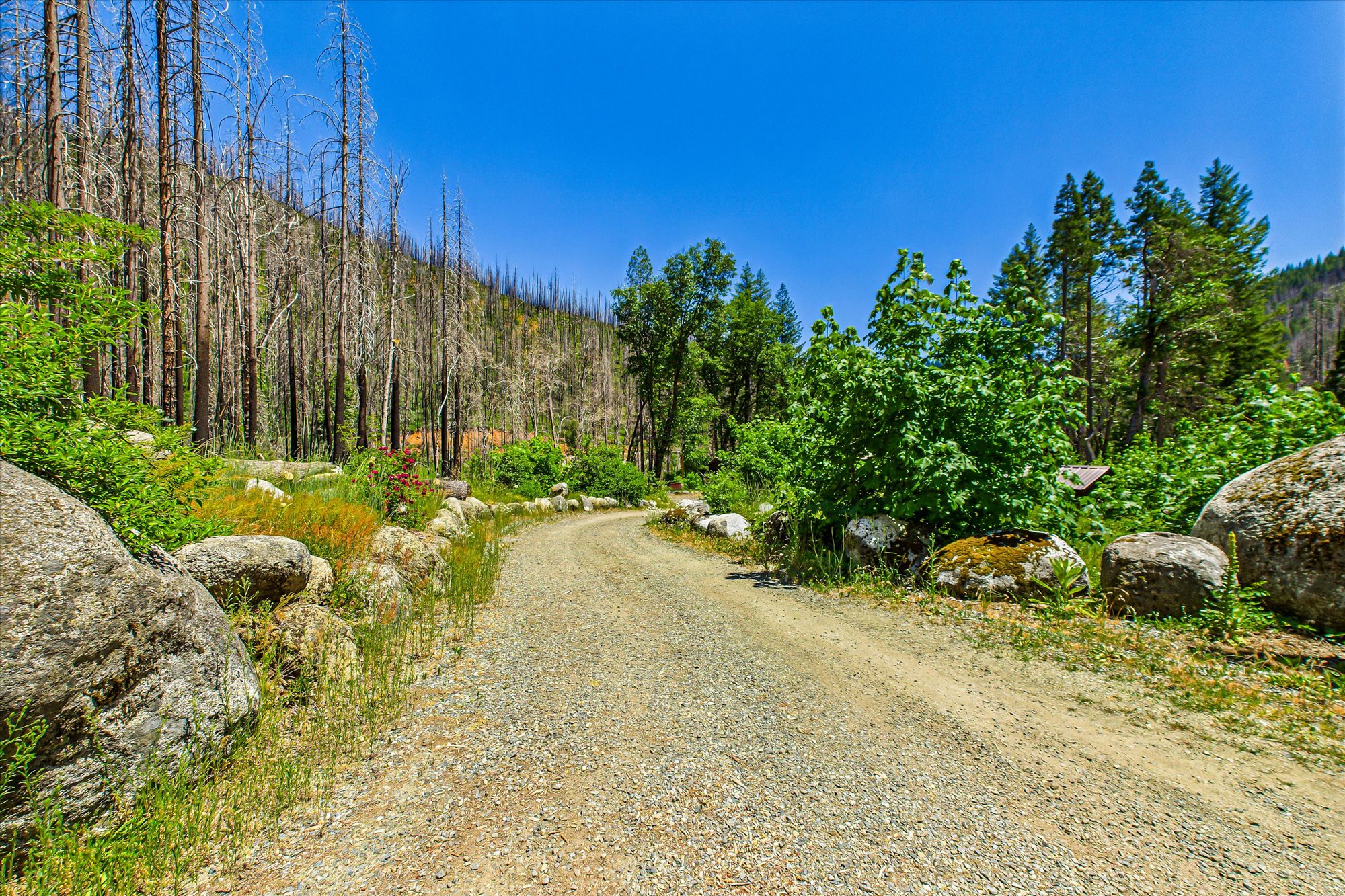 Almay Ranch