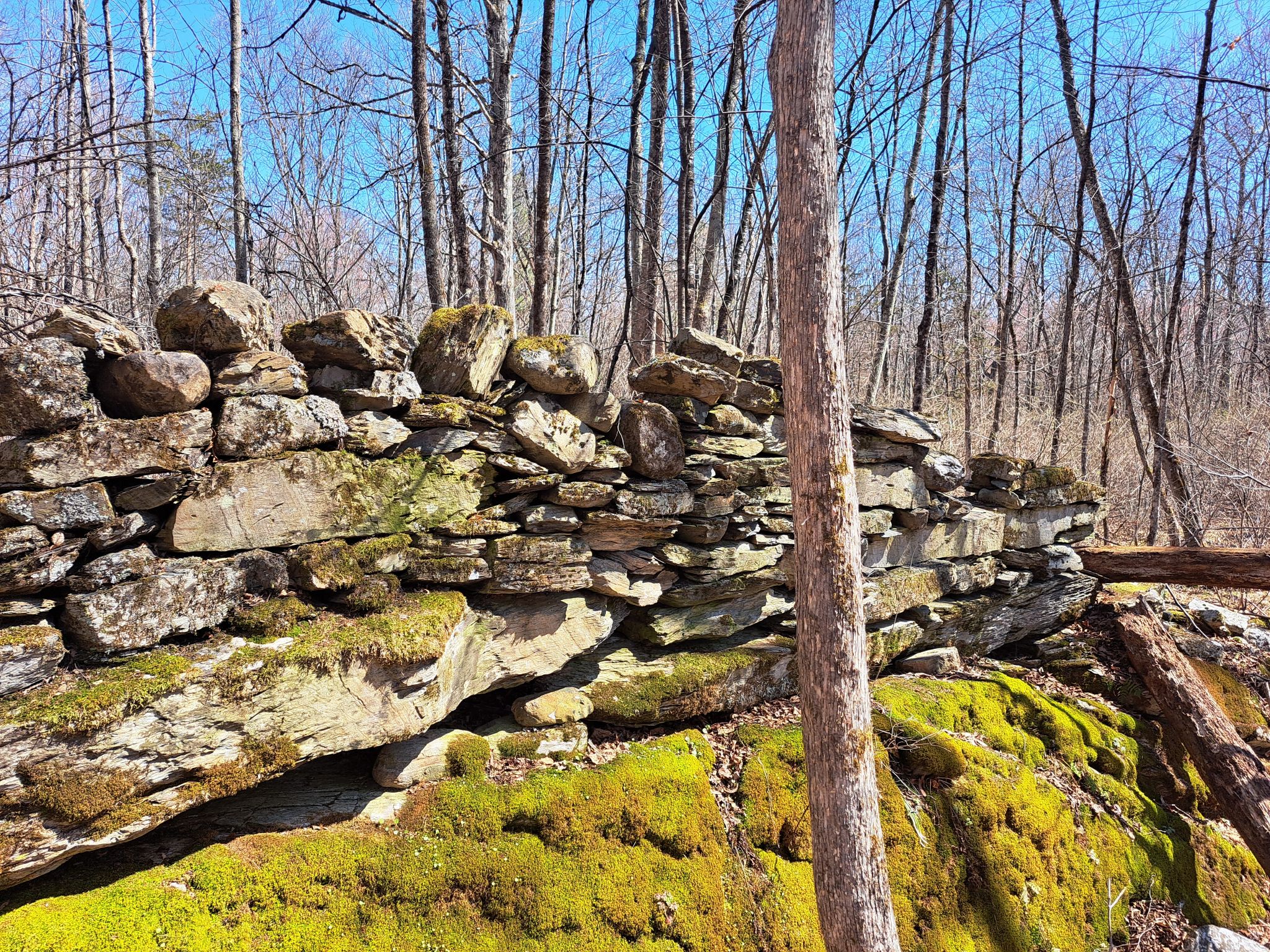 Listing Image 17