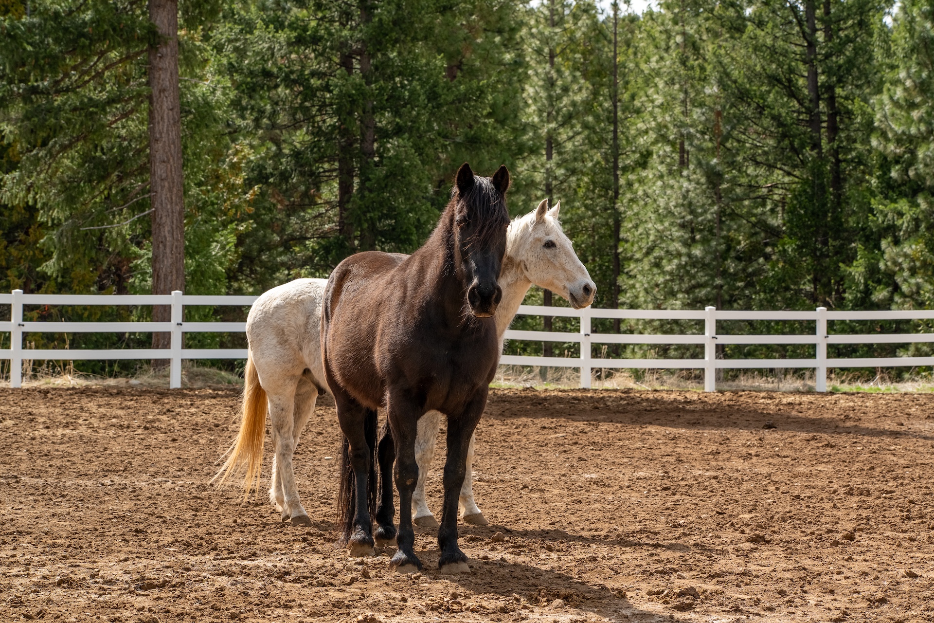 Mulligan Ranch