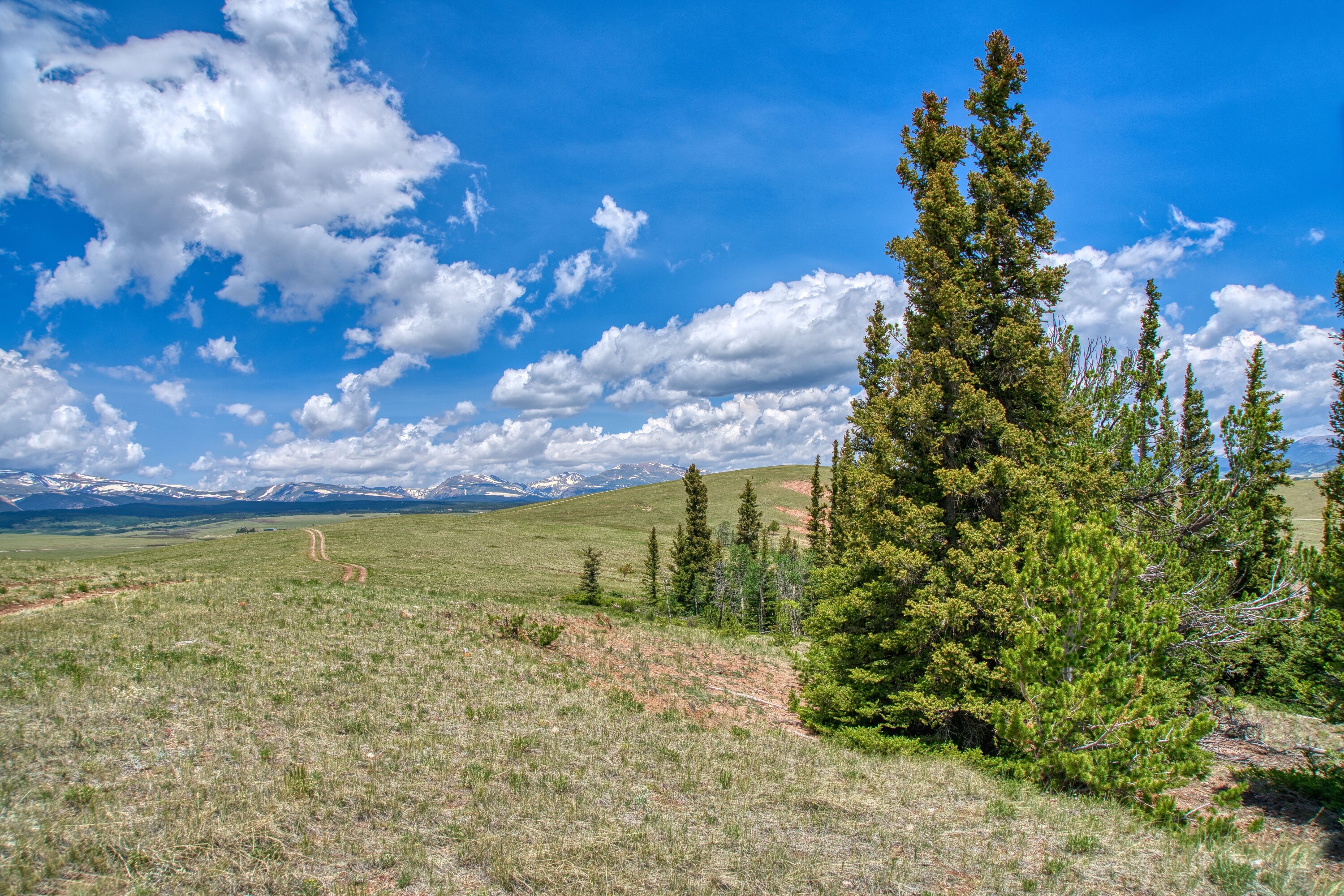 Meier Four Mile Ranch