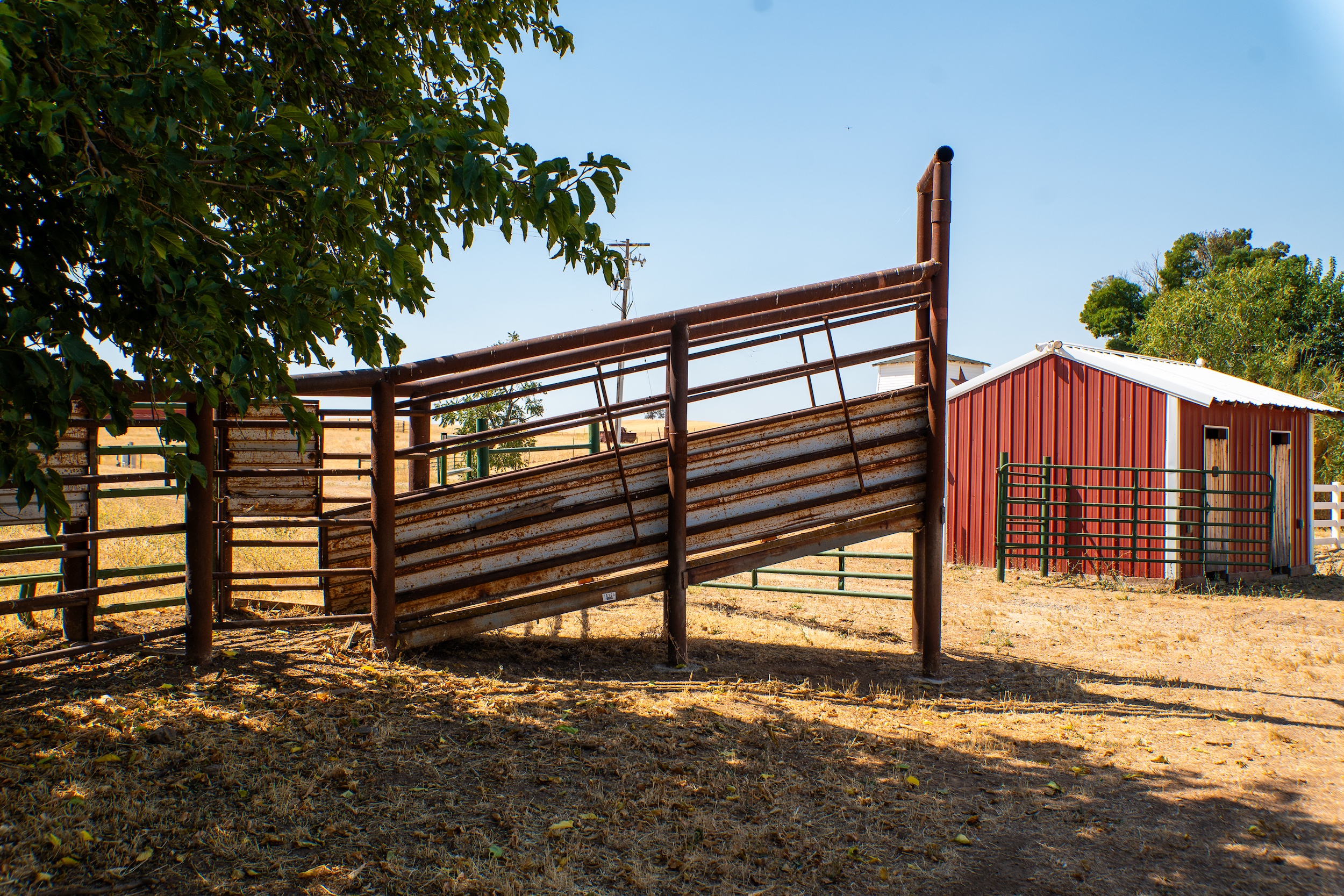 Listing Image 32