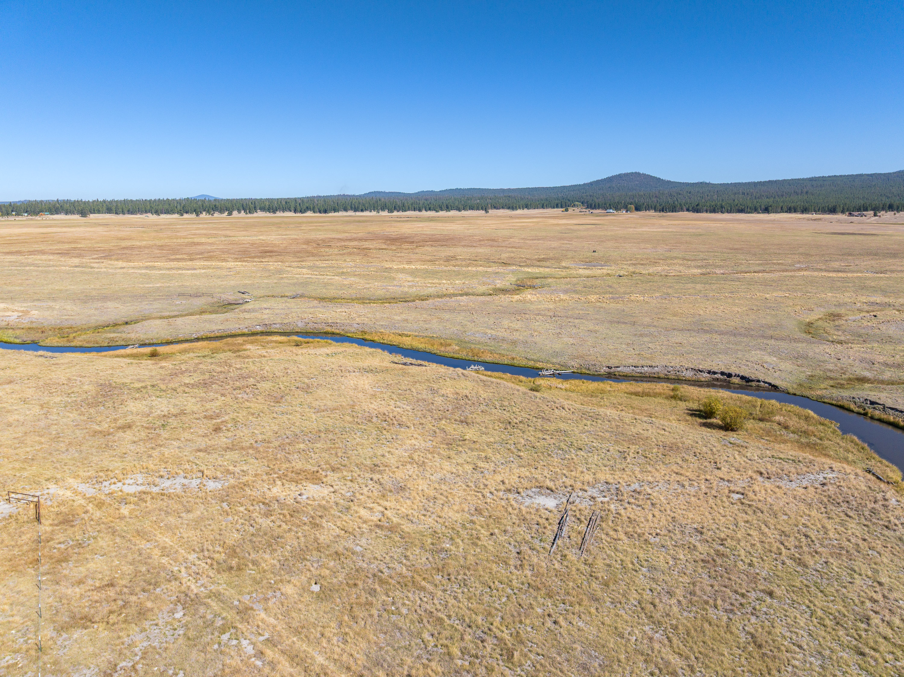 Listing Image 85
