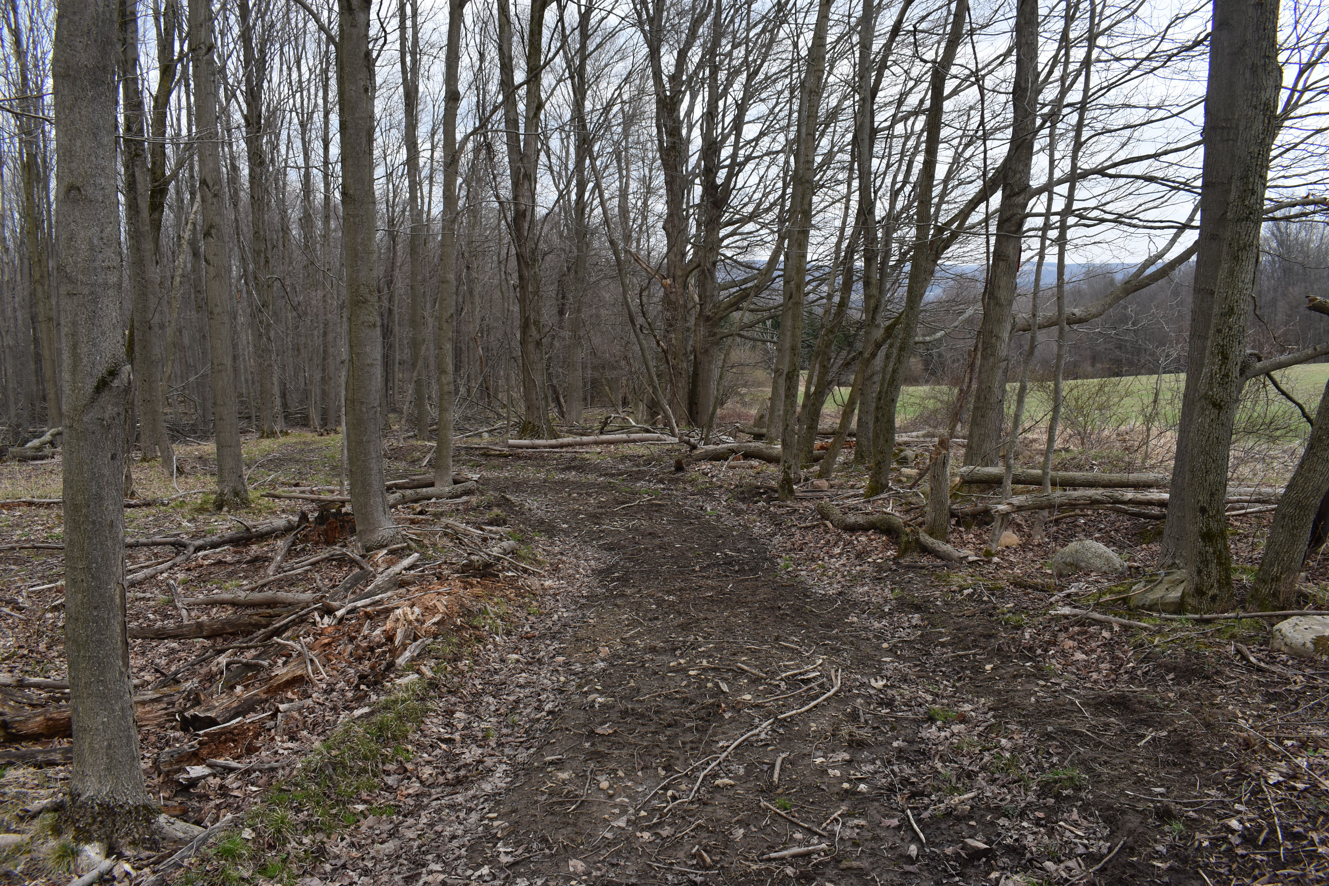 Hammond Hill Hideaway