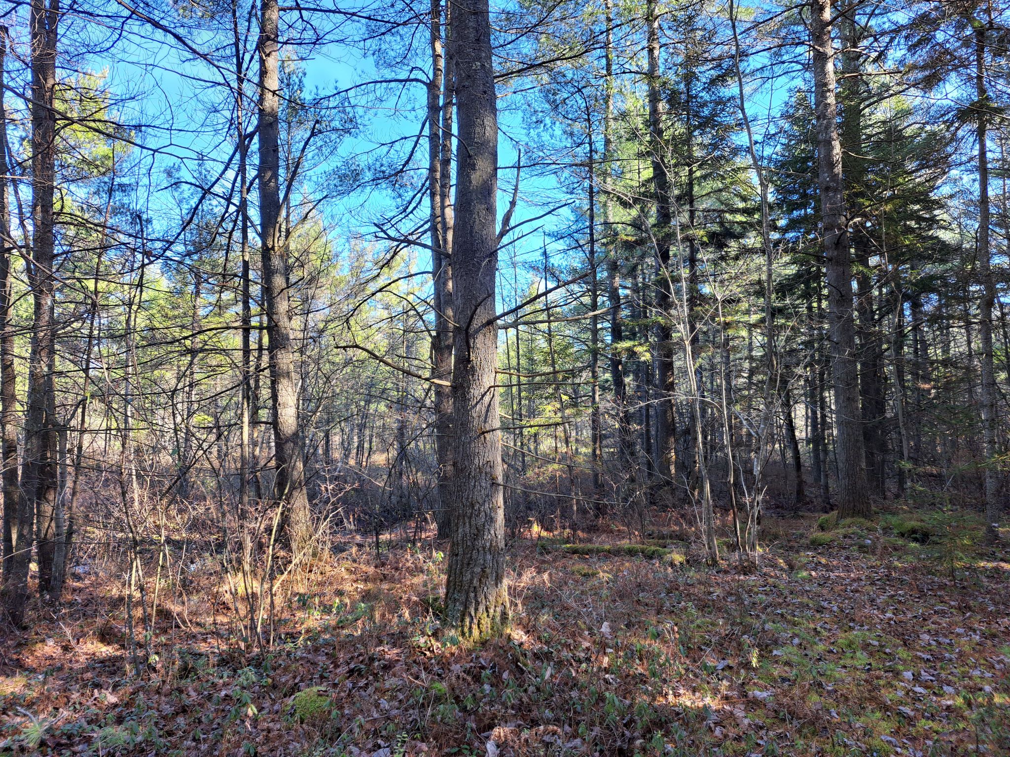 Listing Image 53