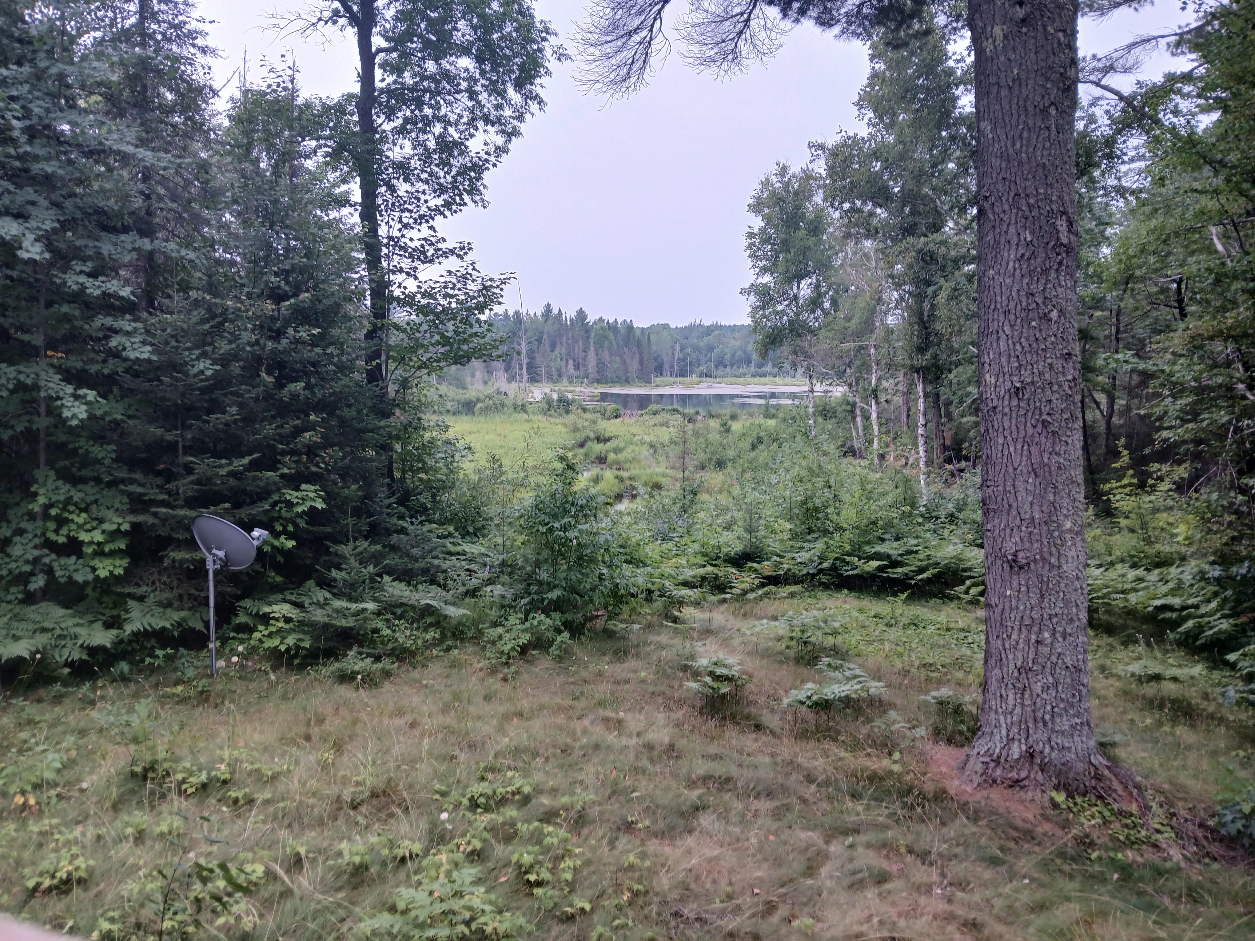 Baraga Wilderness Retreat 50185589