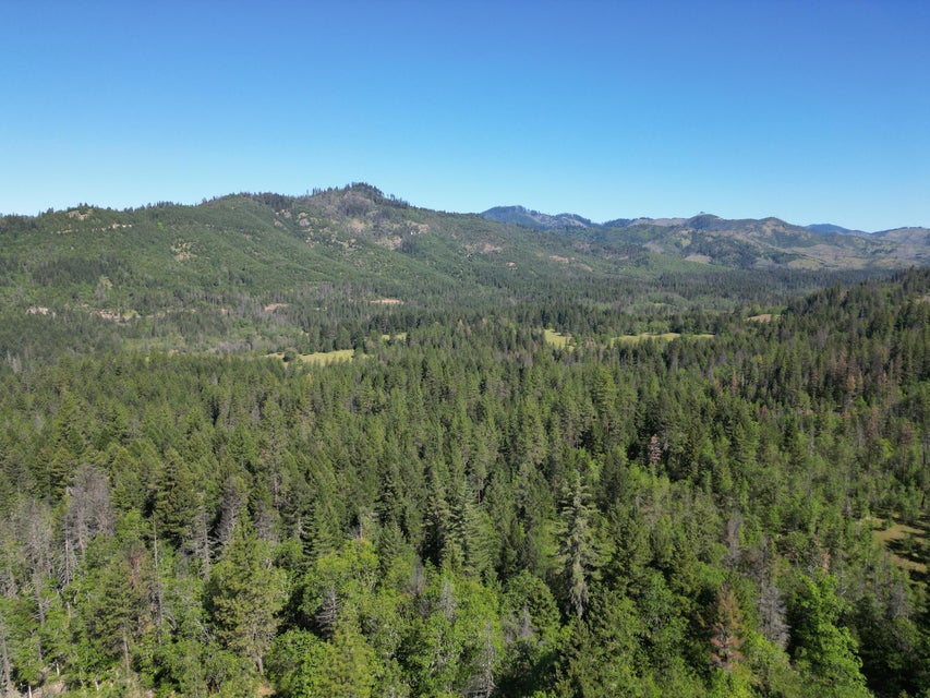 Listing Image 49