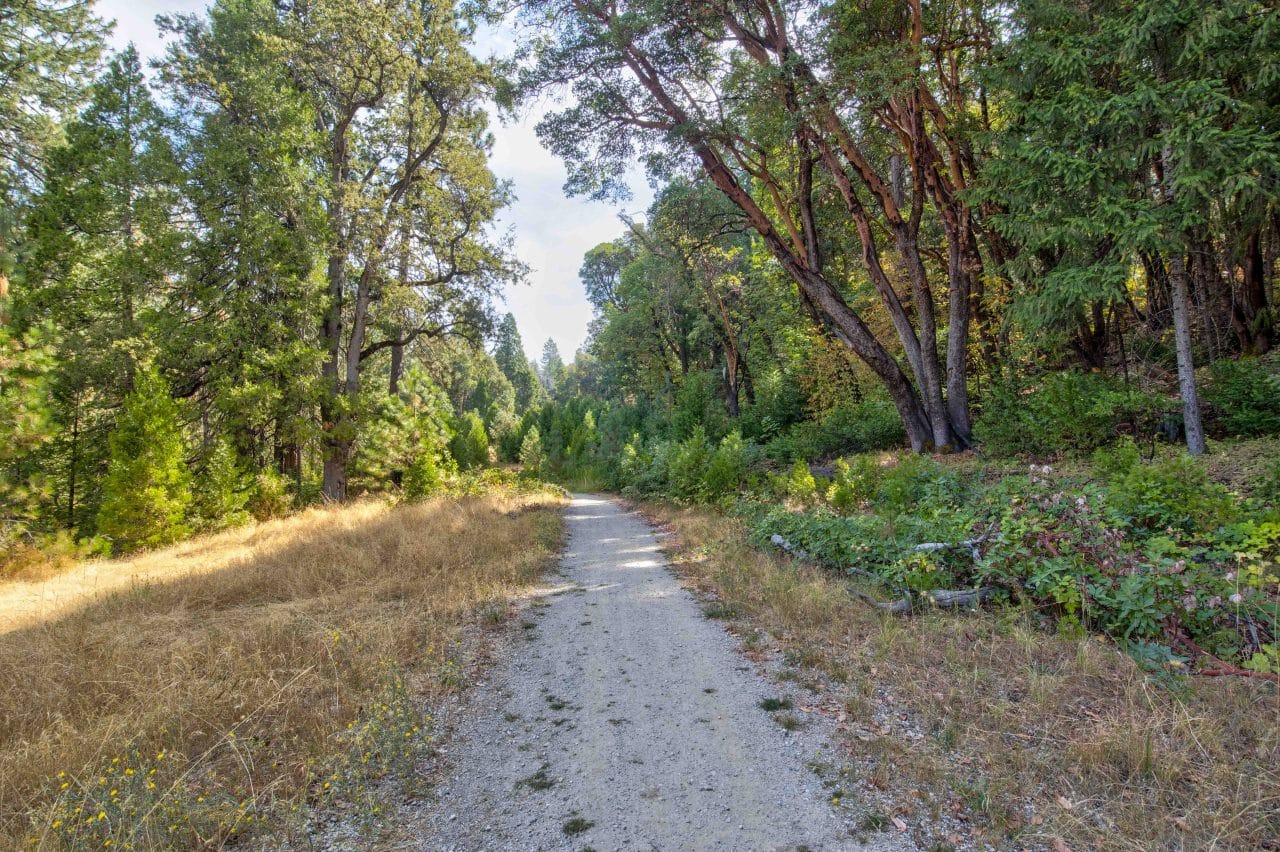 Listing Image 32