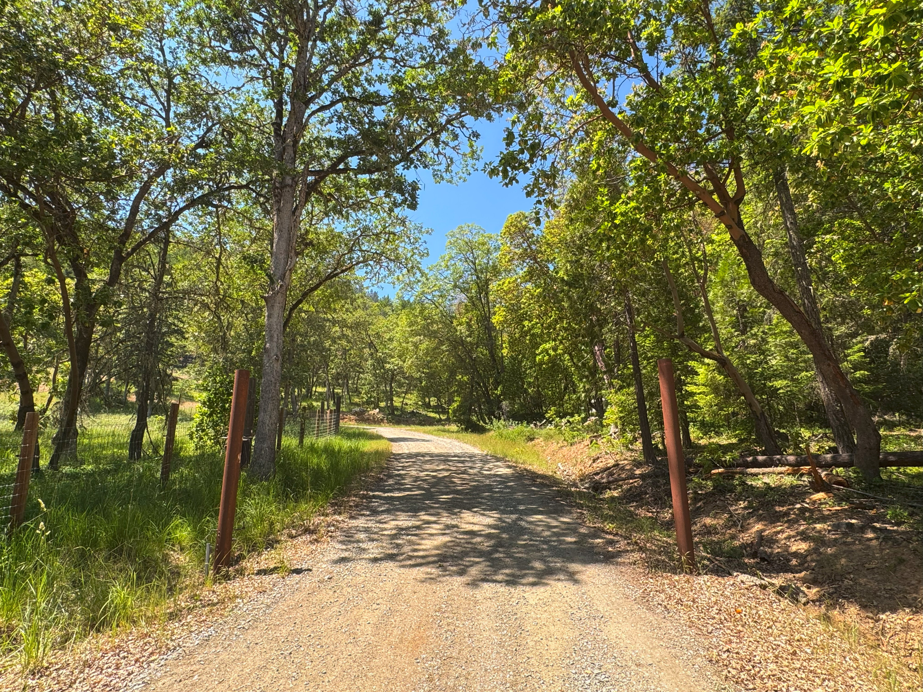 Listing Image 65