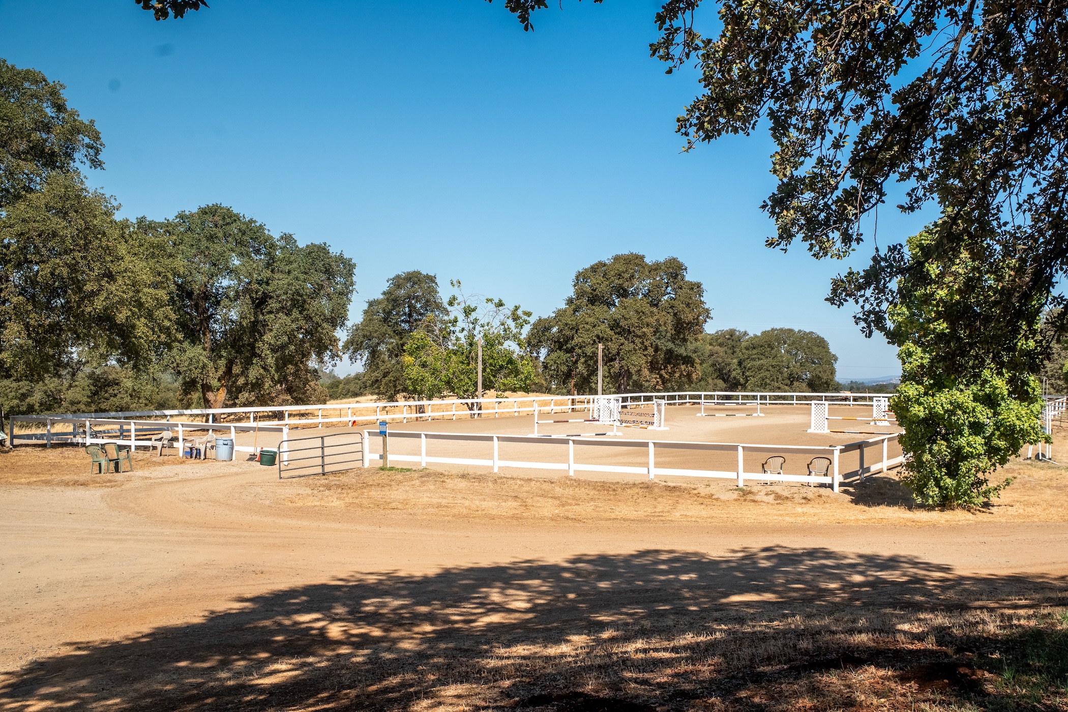 Blue Fountain Farm
